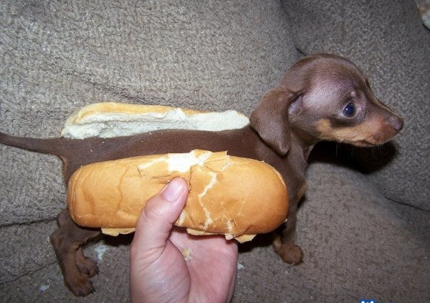 Mini Hot Dog 