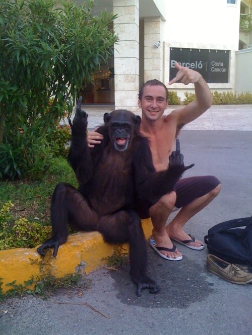 Funny monkey and his best friend