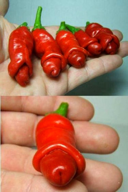 http://24yes.com/gag/Crazy funny pepper.. (picture tell more than words)